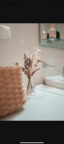 Eria Apartment