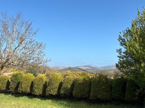 a row of hedges with mountains in the background at Hillside Home in Donegal