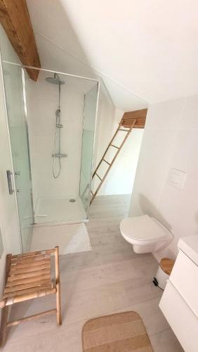 Un baño con ducha de cristal y un inodoro. en Chambre confortable à la campagne, en Dun