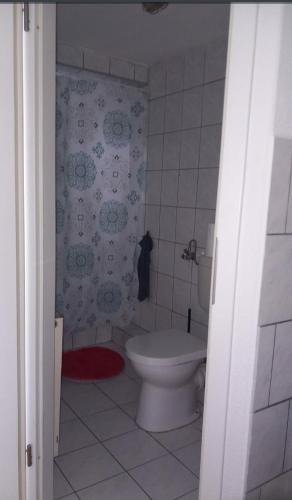 a bathroom with a toilet and a red rug at Monteurwohnung bei Nina 1OGR in Zeitz