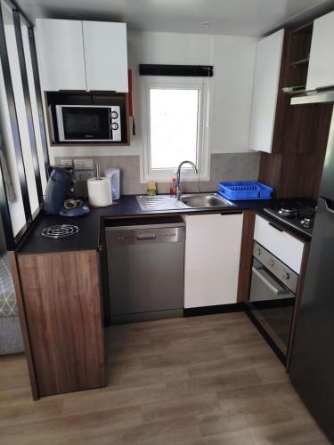 a small kitchen with a sink and a microwave at MHVACANCES LOUENT PLUSIEURS MOBILHOMES DANS CAMPING 4 ETOILES PROCHE CHATEAUX et ZOO BEAUVAL in Onzain