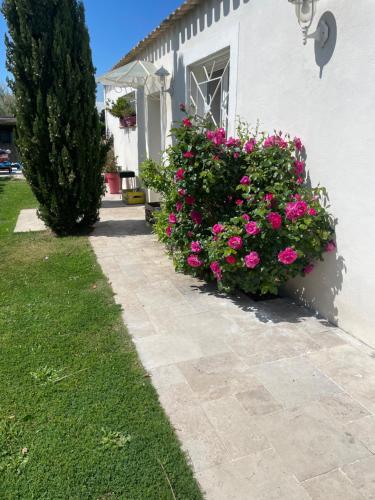 a garden with pink flowers in front of a house at Aigues Marines in Aigues-Mortes