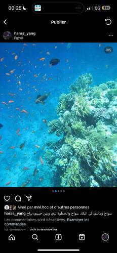 une capture d'écran d'un aquarium avec des poissons dans l'eau dans l'établissement Le foyer des gourmands, à Saint-Fons