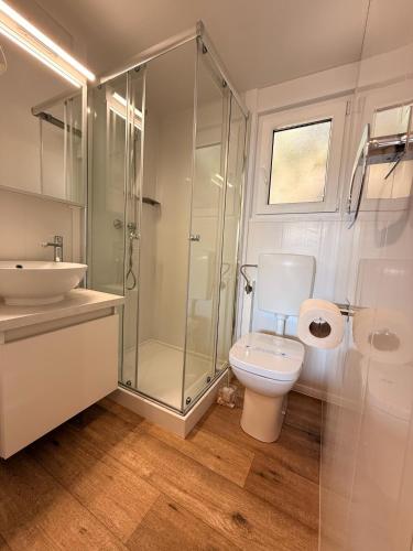 a bathroom with a shower and a toilet and a sink at George Holiday Homes - Soline Beach in Biograd na Moru