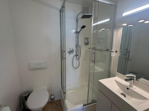 a bathroom with a shower and a toilet and a sink at Hotel la Perla in Meersburg