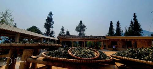 a group of plants in baskets in front of a building at Mountain Views Homestay in Kon Rung (1)