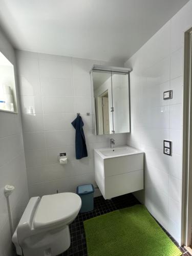 a bathroom with a white toilet and a sink at Henar Bed & Breakfast in Gävle