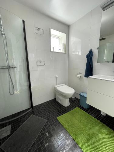 a bathroom with a white toilet and a green rug at Henar Bed & Breakfast in Gävle