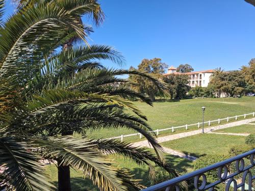 un palmier assis à côté d'une clôture dans l'établissement Joli appartement Les Parcs de Grimaud - Piscine, à Grimaud