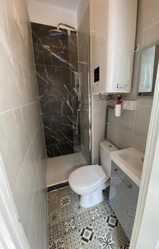 une petite salle de bain avec toilettes et douche dans l'établissement Magnifique deux pièces central proche transports, à Marseille