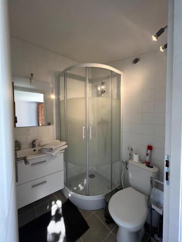 une salle de bain avec une douche, des toilettes et un lavabo dans l'établissement Cabana 12 m2, à Nice