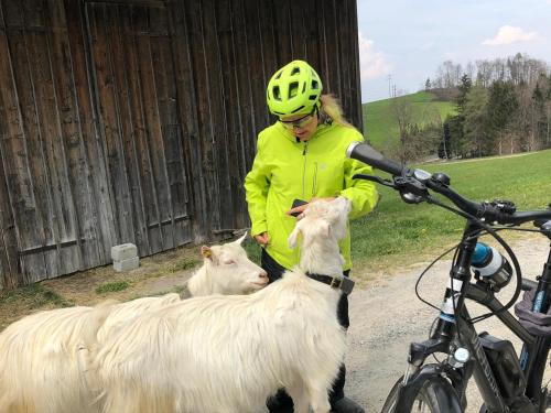 a woman in a helmet standing next to two goats at Appenzellerland, 2 Zimmer Ferienwohnung mit Aussicht in Haslen