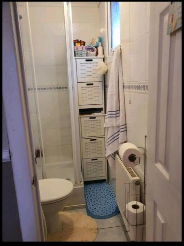 a small bathroom with a toilet and a shower at Animal friendly Sea 2 mins away in Trusthorpe