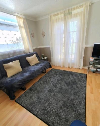 a living room with a blue couch and a rug at Animal friendly Sea 2 mins away in Trusthorpe