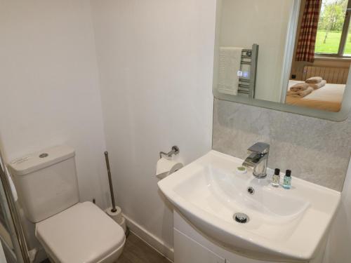 コウブリッジにあるAlderのトイレと洗面台を備えた白いバスルーム