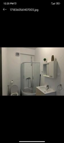 a bathroom with a shower and a toilet and a sink at Apartment Olive in Utjeha
