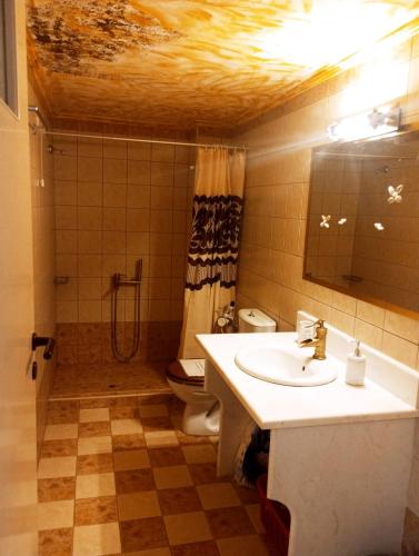 a bathroom with a sink and a shower and a toilet at Iridis R & R in Ligaria