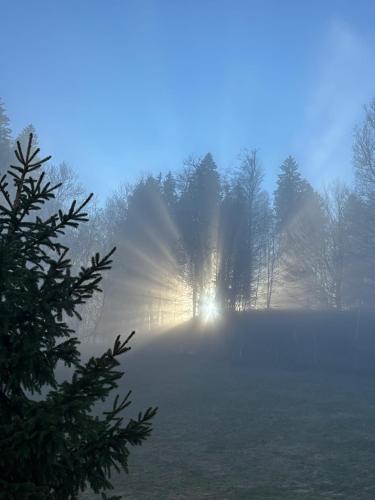 a misty field with the sun shining through trees at Appenzellerland, 2 Zimmer Ferienwohnung mit Aussicht in Haslen