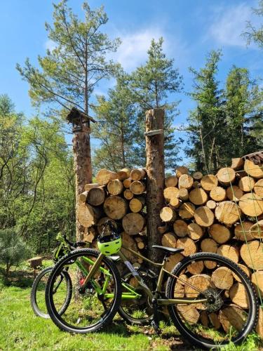 a bike parked next to a pile of logs at Chata u rybníka Machčák in Třebušín