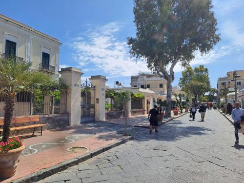 a street with a tree and people walking down the street at Home sweet home in Ischia