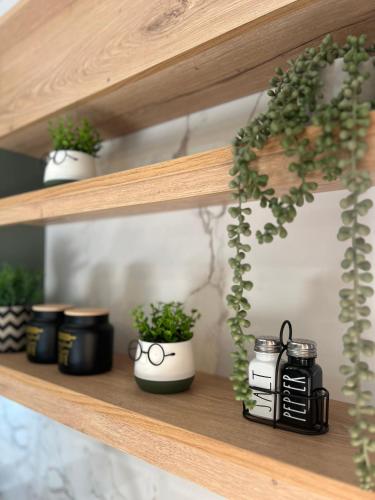 Gambar di galeri bagi Green Studio House di Samos