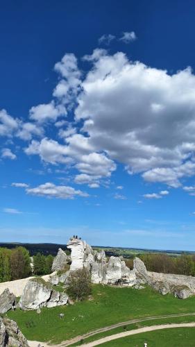 a group of rocks in a field with a blue sky at Dobre miejsce na Jurze in Kroczyce