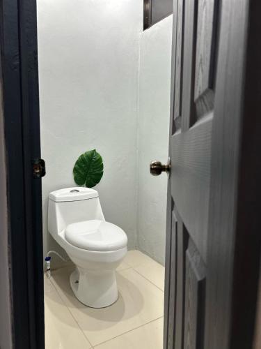 a bathroom with a toilet with a green plant on the wall at Residencia Esmeralda in Agua Buena