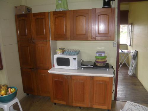 a kitchen with wooden cabinets and a microwave on a counter at Pousada Avalon Paranapiacaba in Paranapiacaba
