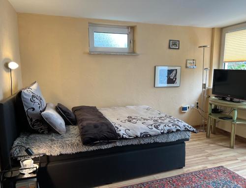 Televisyen dan/atau pusat hiburan di Weserfeeling Apartment in Höxter