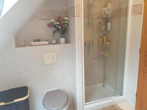 une petite salle de bain avec douche et toilettes dans l'établissement Grande suite salle de bain toilette privés prés Paris, à Corbeil-Essonnes