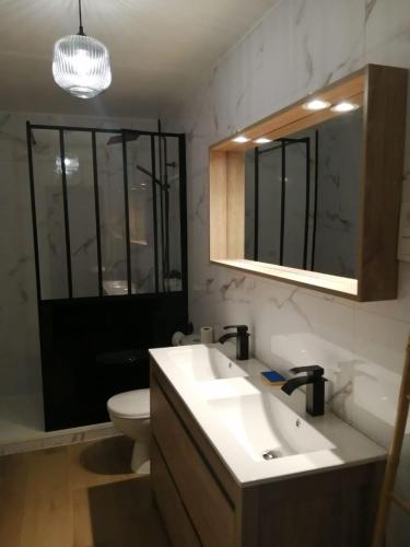 une salle de bain avec un lavabo, des toilettes et un miroir dans l'établissement La tidette, à La Celle-sous-Gouzon