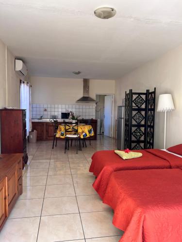 Kuchyň nebo kuchyňský kout v ubytování Le Village tropical avec sa villa et ses 6 bungalows