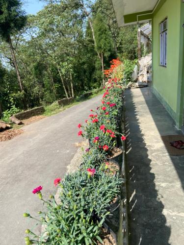 Jardín al aire libre en Máple farmstay