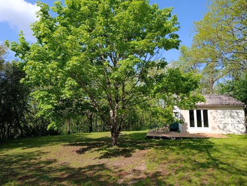 un arbre dans une cour devant une maison dans l'établissement Maison au calme à l'orée du bois, à Lunery