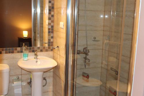 een badkamer met een douche en een wastafel bij Casa En La Precordillera in San José de Maipo