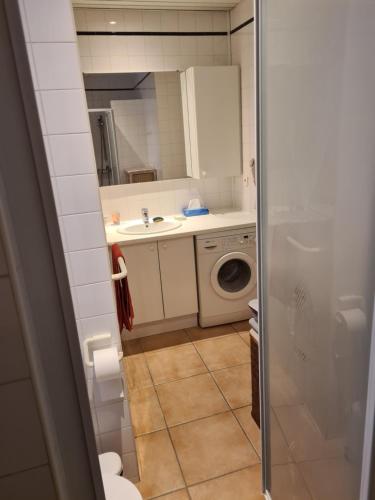 une salle de bain avec un lavabo et une machine à laver dans l'établissement Cannes Gallia Centre, à La Celle-sous-Gouzon