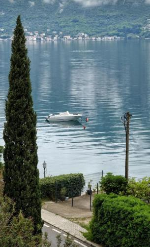 Gallery image of Marina Ljuta apartment in Kotor