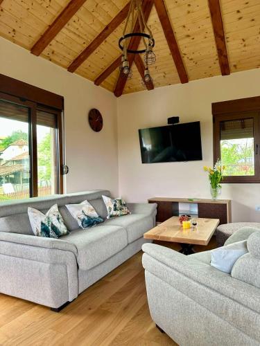 a living room with two couches and a tv at Rudnicka vila in Arandjelovac