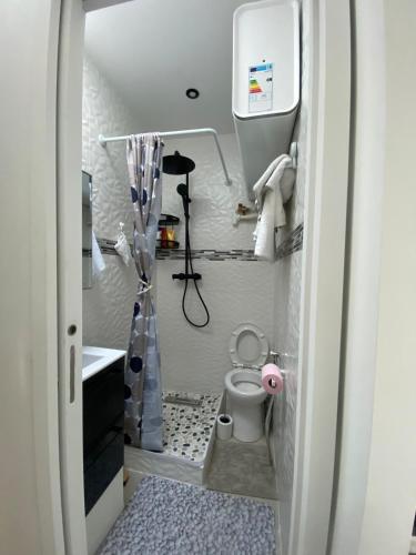 une petite salle de bain avec toilettes et douche dans l'établissement Loft de luxe à deux pas du panthéon, à Paris