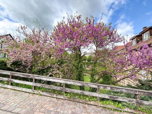 a tree with purple flowers next to a fence at Le Pavillon des Remparts - Commerces à proximité - Centre-ville - Appartement Cosy in Obernai