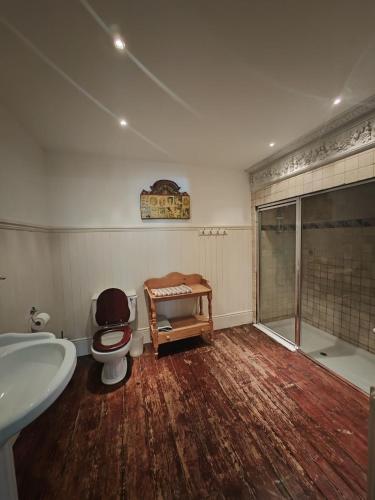 a bathroom with a toilet and a shower and a sink at Seaside studio for business or holiday travellers in Eastbourne