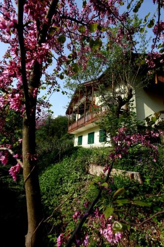 Taman di luar Al Trovante - Gardaslowemotion