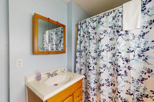 a bathroom with a sink and a shower curtain at Breezy Marie in Nameloc Heights