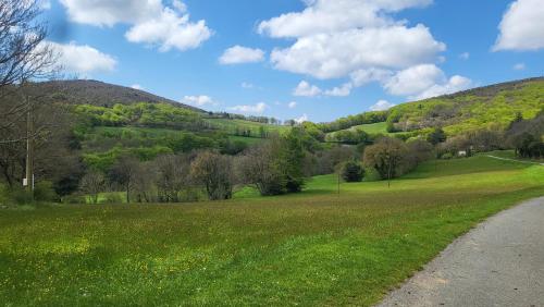 a field of green grass with trees and a road at La Maison du chataignier in Cassagnolles