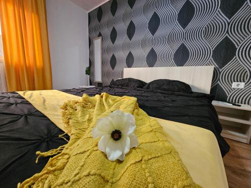 Fotografie z fotogalerie ubytování Scoica v destinaci Costineşti