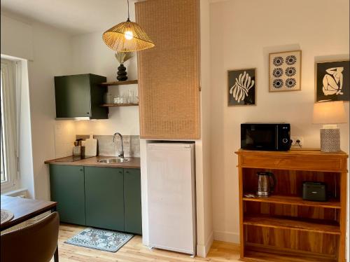 una cucina con frigorifero e lavello di Le Nid Cosy, studio a Saint Die