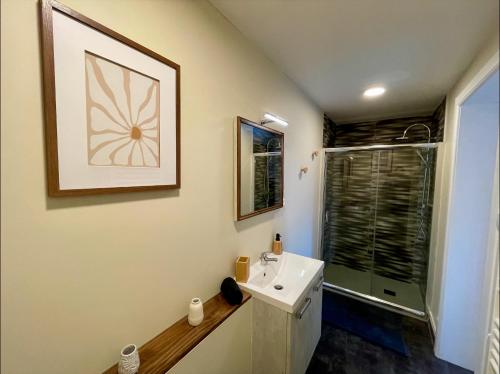 une salle de bain avec un lavabo et une douche dans l'établissement Le Nid Cosy, studio, à Saint-Dié-des-Vosges