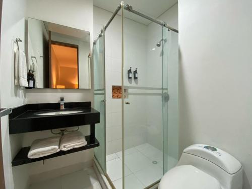 托卢Hotel Soleira的带淋浴、水槽和马桶的浴室