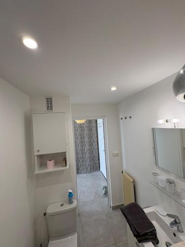 une salle de bain blanche avec des toilettes et un lavabo dans l'établissement Cozy studio parking privé meyzieu centre, à Meyzieu