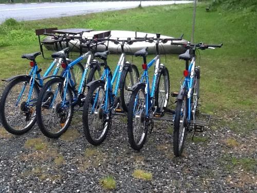 a group of bikes parked next to each other at Tärnaby Rooms & Apartments in Tärnaby